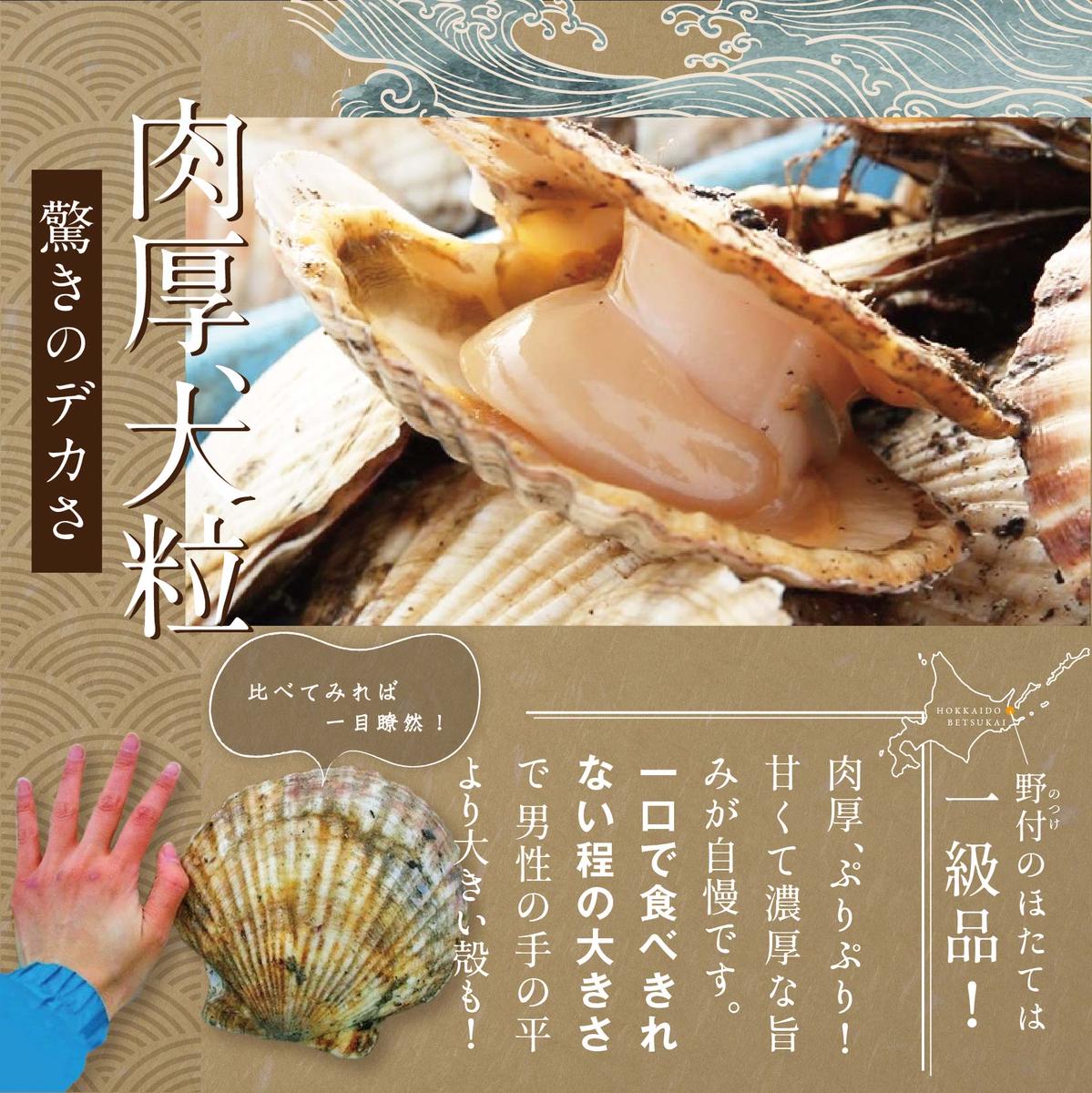 北海道別海町のふるさと納税 ホタテ の中の ほたて 野付の 帆立 を知り尽くす 野付漁協自ら加工だから 旨さ 訳あり ホタテ  送料無料 「野付産 冷凍 ホタテ 1kg 大玉 」（ほたて ホタテ 帆立 貝柱 ホタテ貝柱 大玉 大粒 北海道 別海 野付 ふるさと納税 お届け）