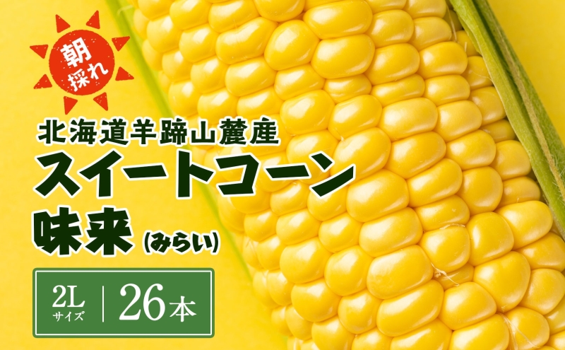 北海道 スイートコーン 味来 約10kg 2Lサイズ 計26本 とうもろこし とうきび コーン 新鮮 採れたて 産直 JAようてい 送料無料 北海道 倶知安町    