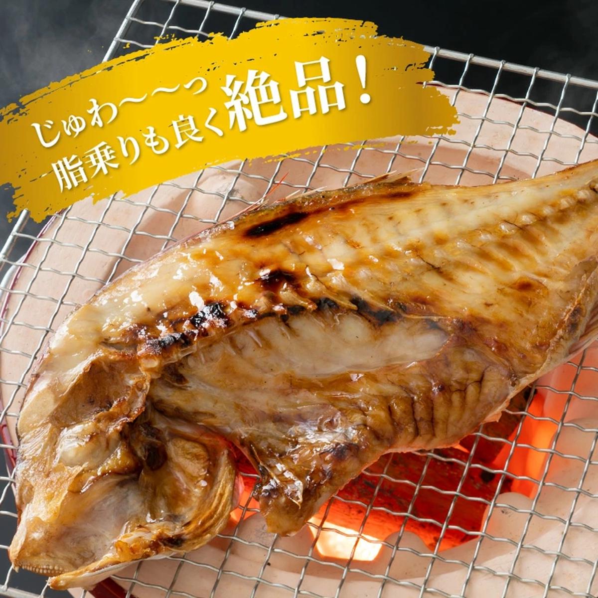 大分県国東市のふるさと納税 驚愕の大きさ！訳あり天然鯛の一夜干し1.8kg_1554R