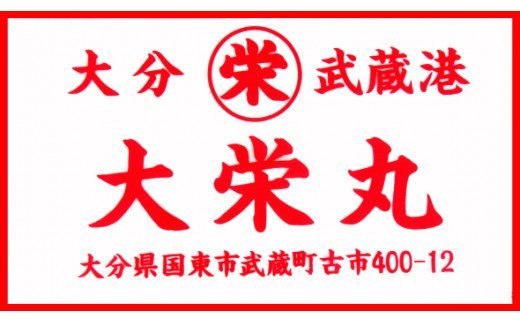 大分県国東市のふるさと納税 驚愕の大きさ！訳あり天然鯛の一夜干し1.8kg_1554R