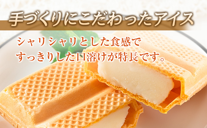 宮崎県日南市のふるさと納税 手作り アイス モナカ セット 計16個 食品 加工品 スイーツ お菓子 最中 なかつや 昔ながら ハンドメイド 子供 乳製品 こだわり 氷菓 懐かしい 国産 おやつ デザート ギフト プレゼント 贈り物 お取り寄せ グルメ おすそ分け 宮崎県 日南市 送料無料_BA67-23