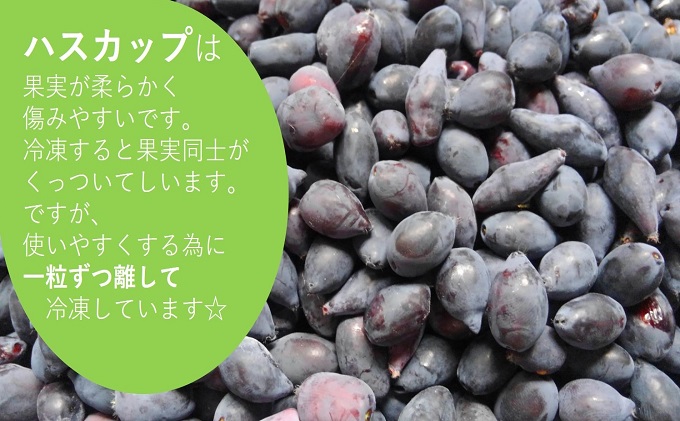 自家農園産・冷凍ハスカップ1kg（500g×2袋） / 北海道南富良野町 | セゾンのふるさと納税