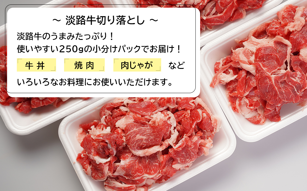 淡路島のお肉お手軽味わいセット（ハンバーグと淡路牛切り落とし）（兵庫県淡路市） | ふるさと納税サイト「ふるさとプレミアム」