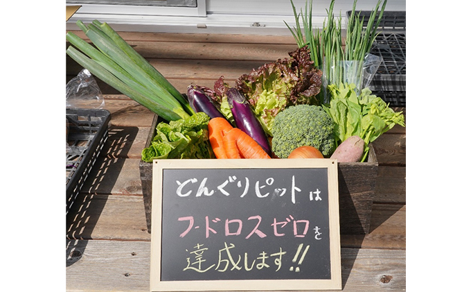 地域共創！季節のおやさいチップス(22g/個×3)（愛知県日進市