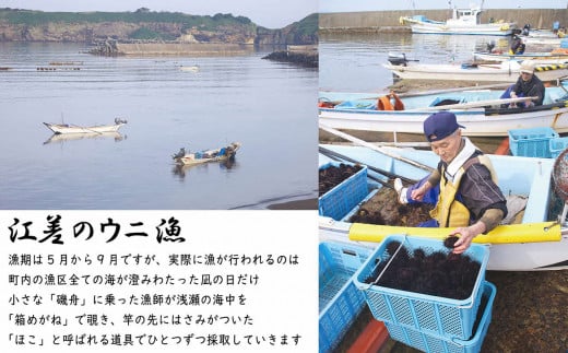 北海道江差町のふるさと納税 【2025年5月～順次発送予定】北海道 江差前浜産 生うに たっぷり 1kg（100g×10パック）【無添加・みょうばん不使用】江差産天然キタムラサキウニ　日本海熊石産海洋深層水　塩水ウニ　素材を生かした自然の味　国産うに　雲丹　100グラムパック個包装