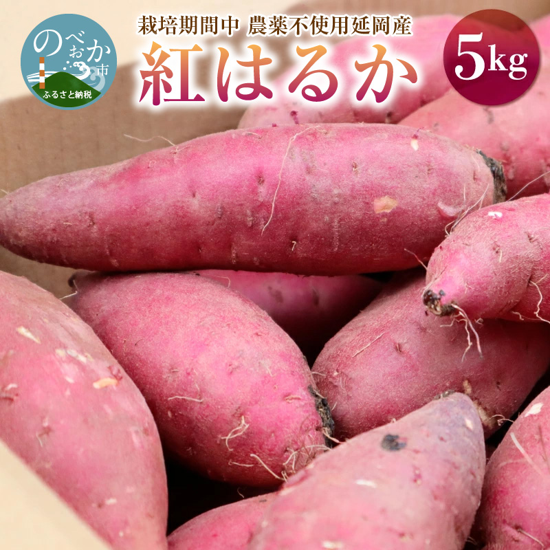 さつまいも 紅はるか 5kg 2022年10月発送開始 栽培期間中農薬不使用 芋 焼きいも 国産 宮崎県延岡市 送料無料 A0173 / 宮崎県延岡市  | セゾンのふるさと納税