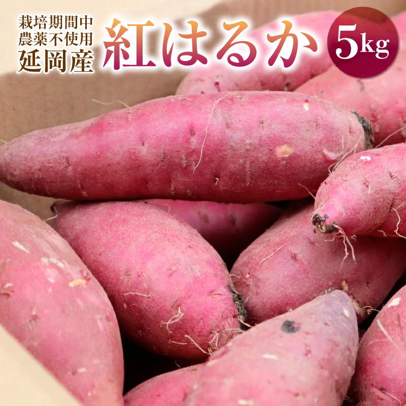 さつまいも 紅はるか 5kg 2022年10月発送開始 栽培期間中農薬不使用 芋 焼きいも 国産 宮崎県延岡市 送料無料 A0173 / 宮崎県延岡市  | セゾンのふるさと納税