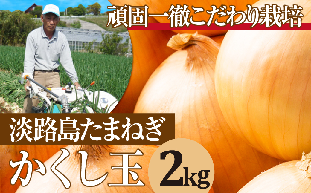 五斗長たまねぎ 10kg / 兵庫県淡路市 | セゾンのふるさと納税