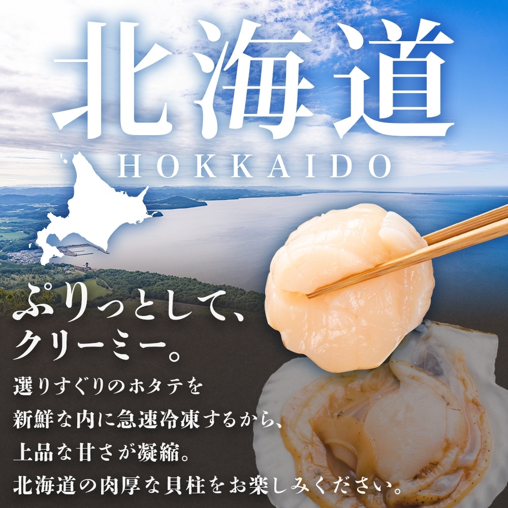 北海道弟子屈町のふるさと納税 1420. 無地熨斗 ホタテ貝柱 1kg 10-12人前 のし 名入れ不可 ほたて 帆立 生ほたて 貝柱 貝 海鮮 熨斗 贈り物 贈答用 送料無料 15000円 北海道 弟子屈町