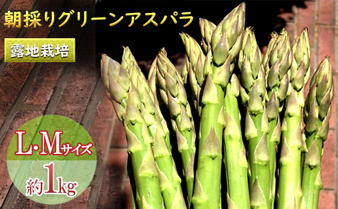 北海道富良野市のふるさと納税 【2024年5月中旬～出荷】朝採り 露地 グリーン アスパラ L-Mサイズ 1kg ＆アスパラ キッシュ 北海道 富良野市 (バリアフリーの宿＆カフェ いつか富良野へ)お菓子 スイーツ デザート おやつ 贈り物 ギフト 手作り 北海道 送料無料 道産 富良野 ふらの 詰め合わせ