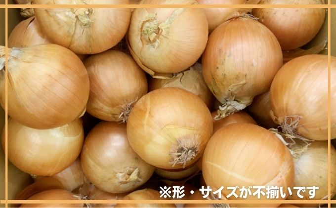 香川県綾川町のふるさと納税 新鮮採れたて綾川町産 たまねぎサイズ混合約10kg※2024年5月上旬より順次発送