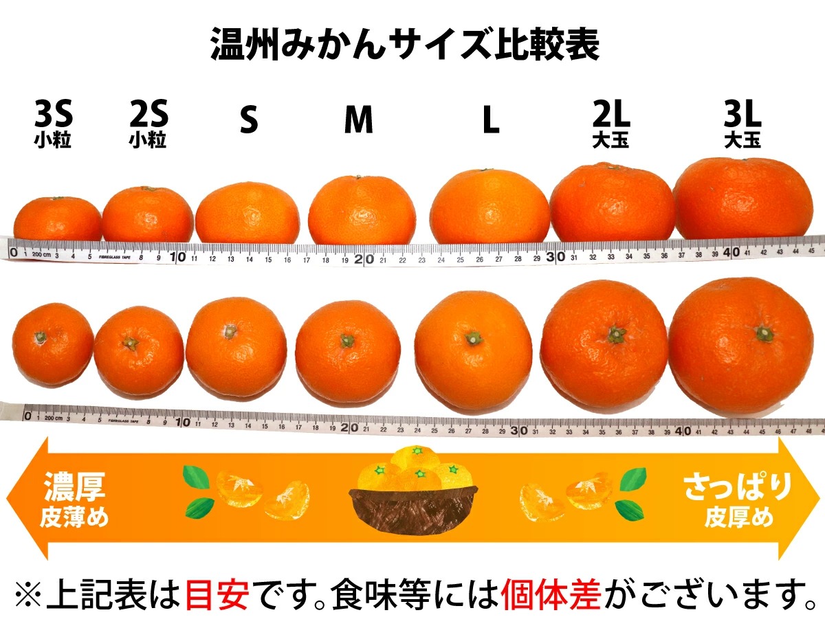 2100円 注目のブランド ふるさと納税 湯浅町 2022年10月〜発送 みかん