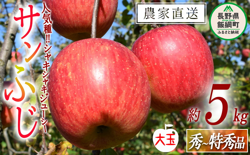 りんご サンふじ 秀 ～ 特秀 ( 大玉 