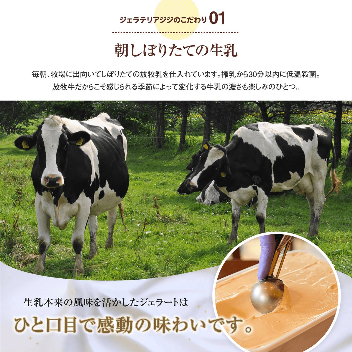 業務用サイズ】恵庭Gelateria Gigiのアルフォンソマンゴーソルベ2000mlサイズ【43029】 / 北海道恵庭市 | セゾンのふるさと納税 業務用サイズ】恵庭Gelateria Gigiのアルフォンソマンゴーソルベ2000mlサイズ【43029】 / 北海道恵庭市 | セゾンのふるさと納税