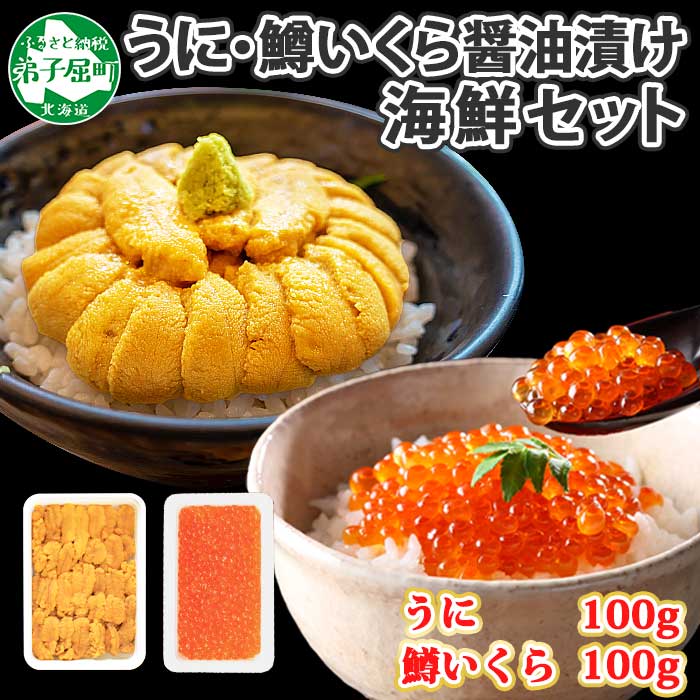 1357. うに チリ産 冷凍 100g 鱒いくら醤油漬け 100g セット ウニ 雲丹 ますいくら 鱒 マス イクラ いくら いくら醤油漬け 海鮮  海鮮丼 北海道 弟子屈町 11000円 / 北海道弟子屈町 | セゾンのふるさと納税