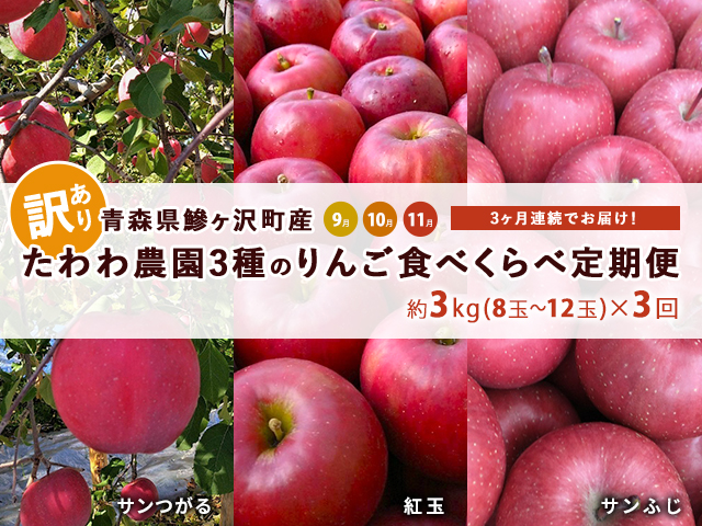 3年保証』 4.8キロ 青森市 2022年産 ジョナゴールド ふるさと納税 先行受付 青森