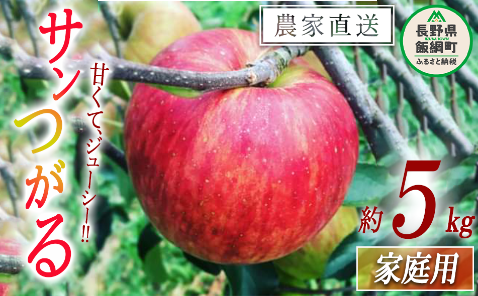 りんご サンつがる 家庭用 5kg 中村ファーム ( 中村りんご農園 ) 沖縄