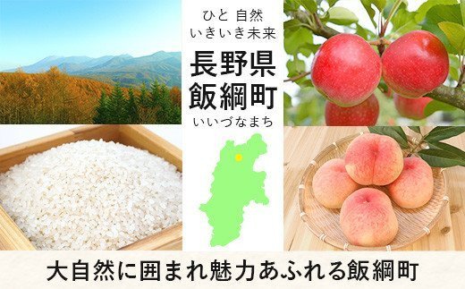 【令和5年度収穫分】信州飯綱町産　こしひかり（玄米）5kg×6回【6カ月定期便】 ※沖縄および離島への配送不可　 ※2023年11月上旬頃から順次発送予定　米澤商店[1367]|米澤商店