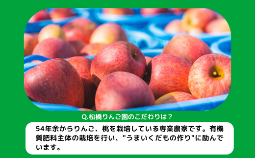 りんご サンつがる 家庭用 4.5kg 松橋りんご園 沖縄県への配送不可 2024年9月上旬頃から2024年9月中旬頃まで順次発送予定  令和6年度収穫分 フルーツ リンゴ 信州 長野県 飯綱町 [0823]|松橋りんご園