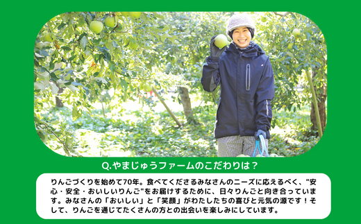 りんご ぐんま名月 特選 3kg やまじゅうファーム 沖縄県への配送 りんご ぐんま名月 特選 3kg やまじゅうファーム 沖縄県への配送