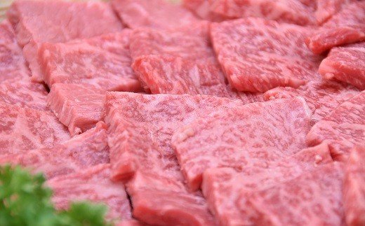 岐阜県美濃加茂市のふるさと納税 飛騨牛 A5 等級 焼肉 用 400g（ モモ肉 ） | 肉のかた山 M10S58