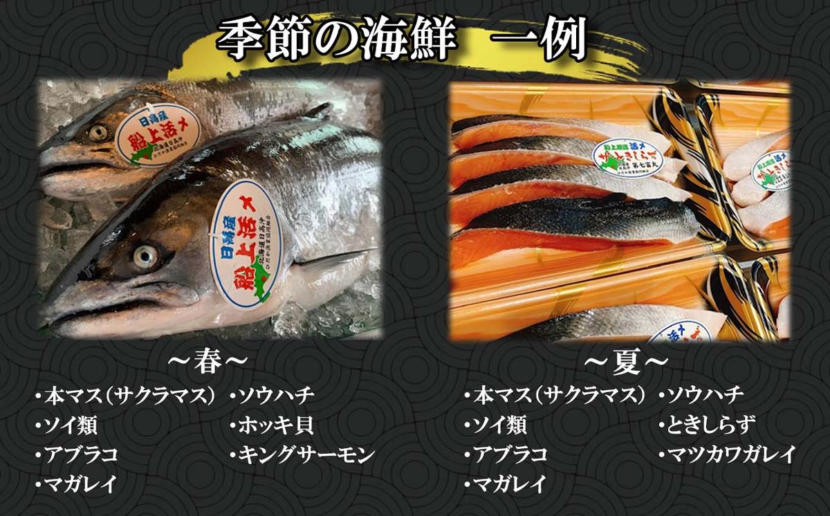 北海道新ひだか町のふるさと納税 北海道産 旬のお魚 4～5種 お楽しみ詰め合わせ セット