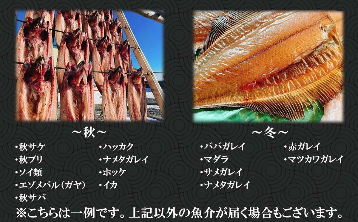 北海道新ひだか町のふるさと納税 北海道産 旬のお魚 4～5種 お楽しみ詰め合わせ セット