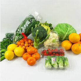 AT6246_【和歌山 湯浅町】季節の野菜と果物 おまかせ 詰め合せ Aセット