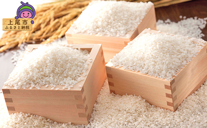 埼玉県上尾市のふるさと納税 埼玉県産　特別栽培米　彩のかがやき　10ｋｇ