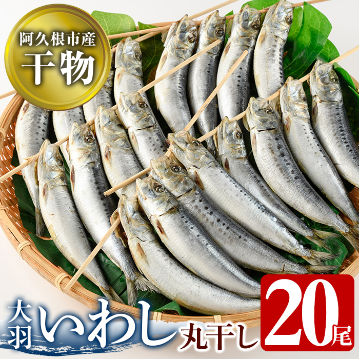 送料無料 海のめぐみ干物セット合計24尾 8種 定番の塩サバ 真ほっけやアジの開き いわしの干物などお魚の加工品をお届け 2-176 fucoa.cl