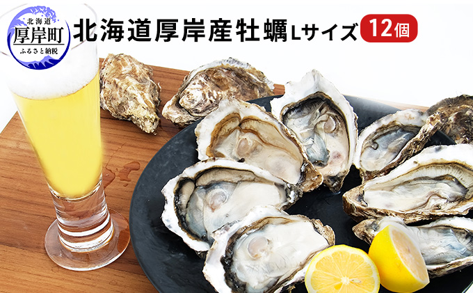 北海道厚岸町のふるさと納税 北海道厚岸産 牡蠣 Lサイズ 1ダース（12個入り） 生食用