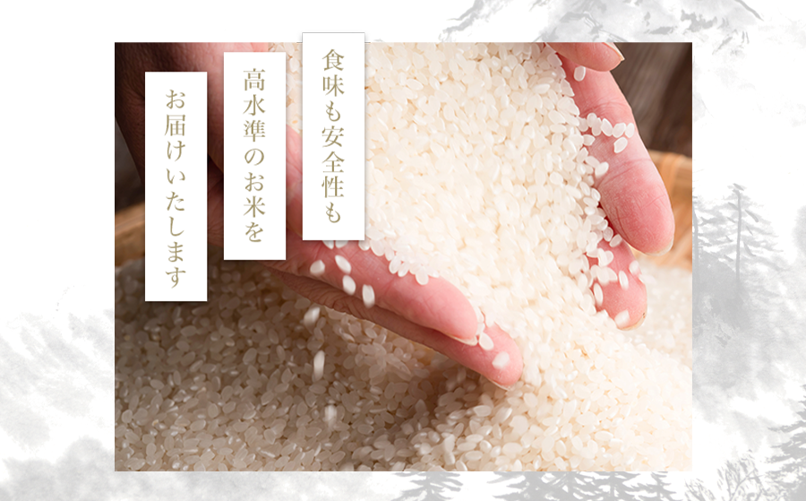 長野県飯綱町のふるさと納税 米 皇室献上実績 こしひかり 5kg × 6回 【 6か月 定期便 】( 令和7年産 ) 特別栽培米 仲俣農園 2025年10月上旬頃から順次発送予定 コシヒカリ 白米 精米 お米 信州 138000円 予約 農家直送 長野県 飯綱町 [0671]