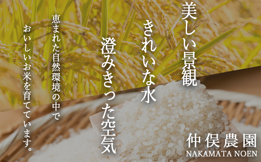 長野県飯綱町のふるさと納税 米 皇室献上実績 こしひかり 5kg × 6回 【 6か月 定期便 】( 令和7年産 ) 特別栽培米 仲俣農園 2025年10月上旬頃から順次発送予定 コシヒカリ 白米 精米 お米 信州 138000円 予約 農家直送 長野県 飯綱町 [0671]
