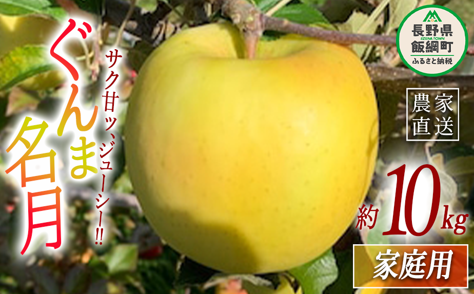 りんご ぐんま名月 家庭用 10kg ファームトヤ 沖縄県への配送不可 2023