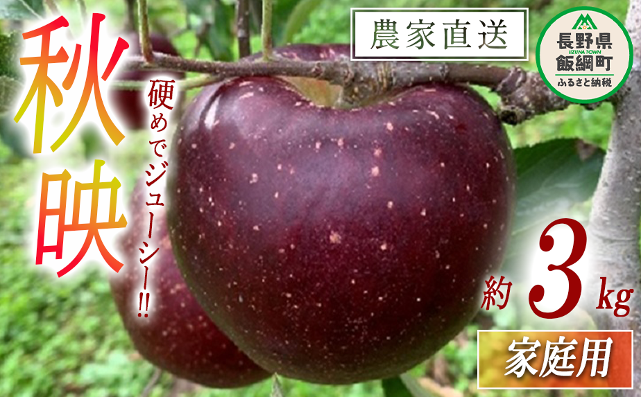 りんご 秋映 家庭用 3kg ファームトヤ 沖縄県への配送不可 2023年10月上旬頃から2023年10月下旬頃まで順次発送予定 令和5年度収穫分  信州 果物 フルーツ リンゴ 林檎 あきばえ 秋映え りんご3兄弟 長野 10500円 予約 農家直送 長野県 飯綱町 [1419]|ファームトヤ