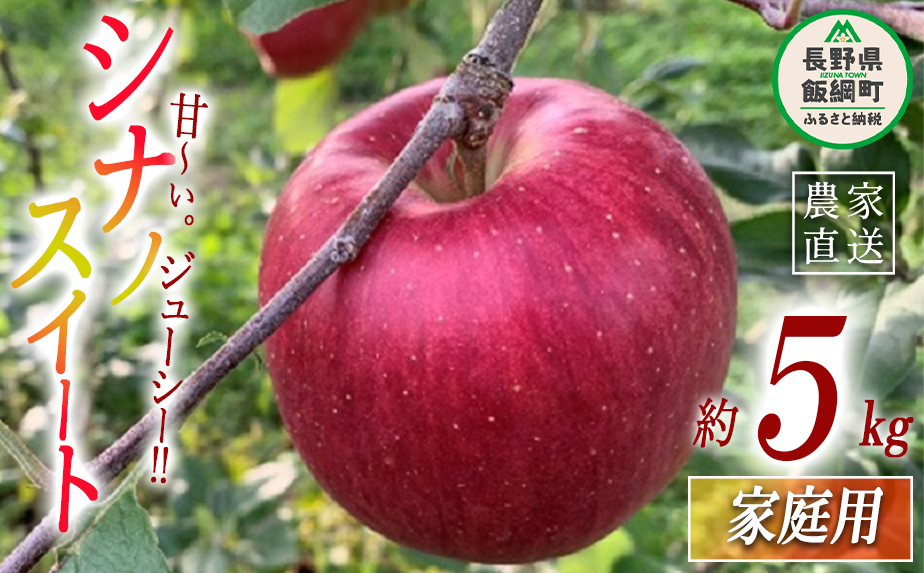 信州のりんご　通販　ふるさと納税　約5kg　長野県　サンふじ