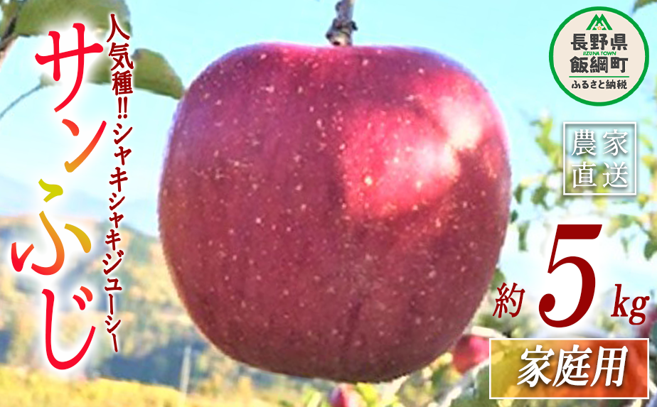 信州のりんご　通販　ふるさと納税　約5kg　長野県　サンふじ