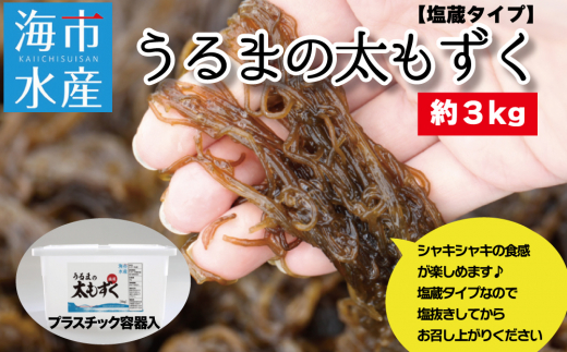 【沖縄県うるま市】海市水産から直送する「うるまの太もずく約3kg【塩蔵】」沖縄もずく