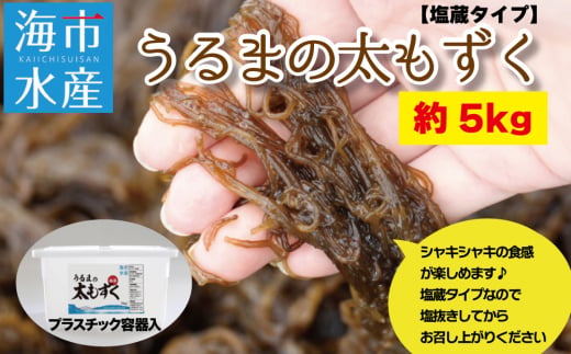 【沖縄県うるま市】海市水産から直送する「うるまの太もずく約5kg【塩蔵】」沖縄もずく