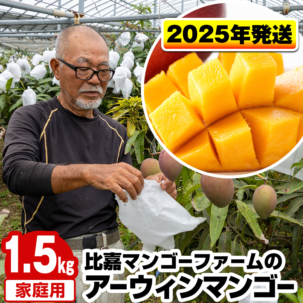 沖縄県南風原町のふるさと納税 【2025年発送】比嘉マンゴーファームのアーウィンマンゴー　家庭用1.5kg