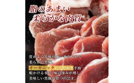 鹿児島県霧島市のふるさと納税 A0-315 《セゾン限定》鹿児島黒豚焼肉BBQ用味付肉(250g×4P)合計1kg【米平種豚場ふくふく黒豚の里】