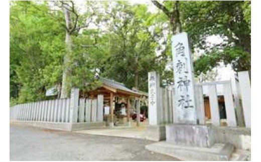 奈良県葛城市のふるさと納税 観光ボランティアガイドと歩く葛城市　イ　葛城市歴史博物館（半日）