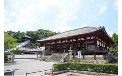 観光ボランティアガイドと歩く葛城市 オ 中将姫ゆかりの當麻寺 石光寺 半日 奈良県葛城市 セゾンのふるさと納税