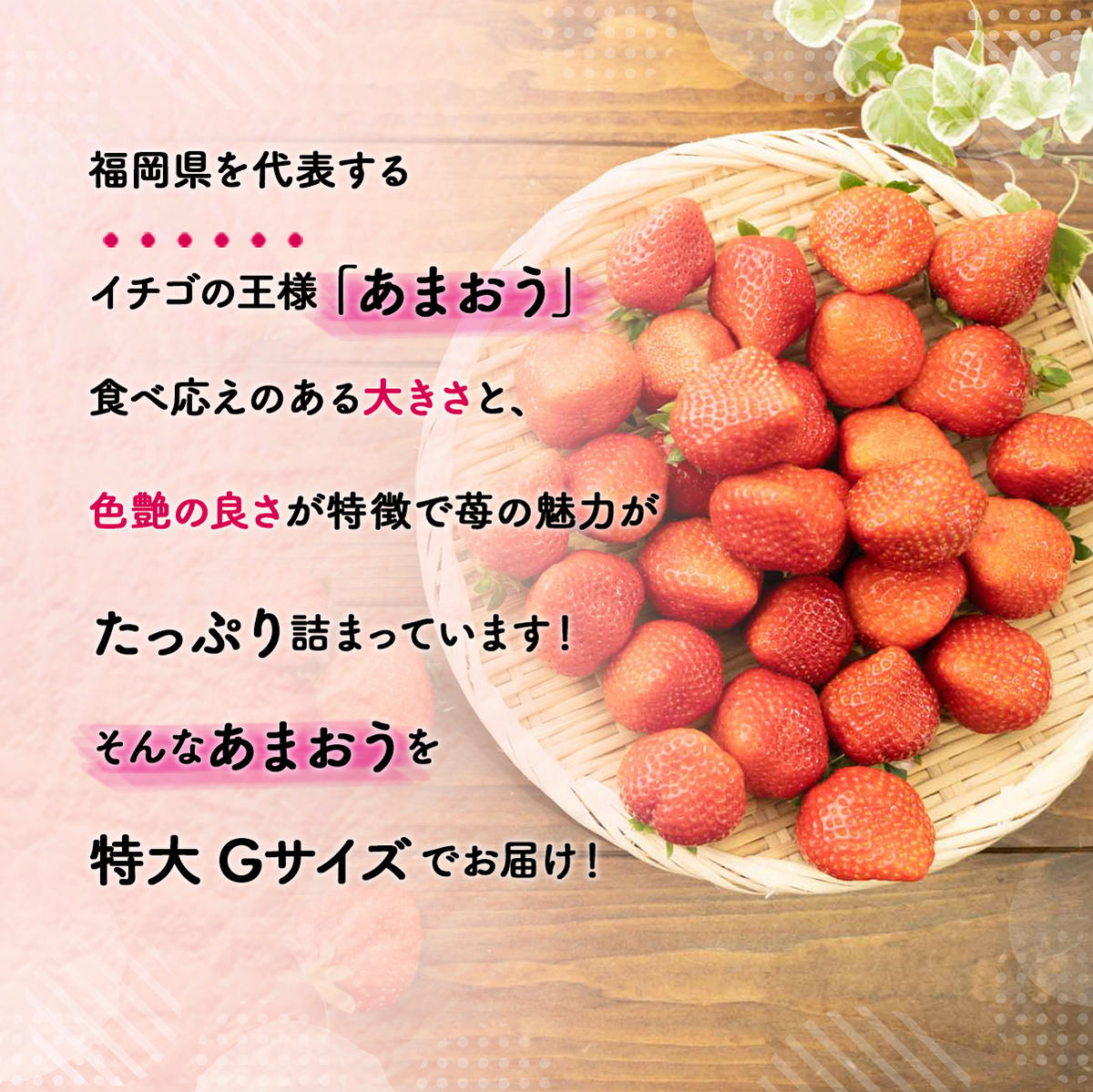 みのキャン 福岡県産あまおう285g×4P (約1,140g) ※2023年1月下旬〜4月中旬頃に順次発送予定土耕栽培で甘く美味しい、濃厚なブランド いちごです。甘い香りと、贅沢な味わいをぜひお楽しみください。：福 でもお - shineray.com.br