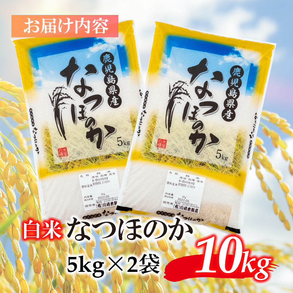 新米】鹿児島県志布志市産なつほのか 精白米 計10kg(5kg×2袋) a6-030