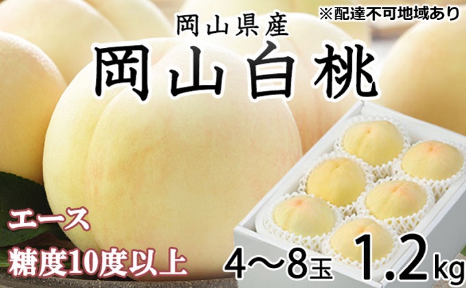 桃 岡山白桃 エース4～8玉 約1.2kg 岡山県産 JAおかやまのもも（早生種・中生種）