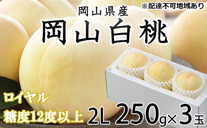桃 岡山白桃 ロイヤル 3玉×約250g（2Lサイズ）岡山県産 JAおかやまのもも（早生種・中生種）