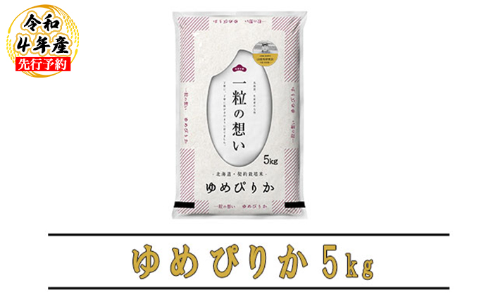 安売り ふるさと納税 上富良野町 2023年6月発送開始 定期便 全10回 無洗米 10kg×1袋 ゆめぴりか
