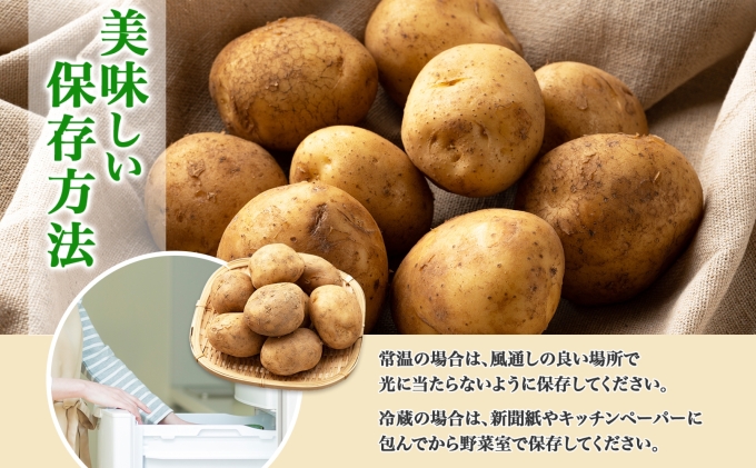 北海道産 じゃがいも 男爵 約10kg じゃが芋 ジャガイモ 芋 いも
