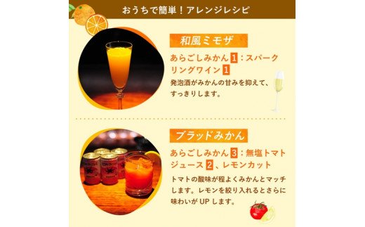 奈良県葛城市のふるさと納税 梅乃宿 あらごしみかん 720ml ／ お酒 リキュール ギフト 贈り物 プレゼント 人気 メーカー直送 果肉たっぷり デザート つぶつぶ食感 ロック ストレート 奈良県 葛城市